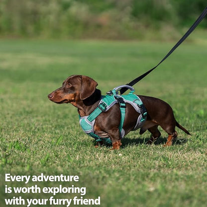Escape Proof Dog Harness, Dachshund Harness, Reflective Dog Harness with Handle, Durable,Adjustable Vest for Small Medium Large Dogs Walking, Training, and Running Gear (Mint Green,XL)