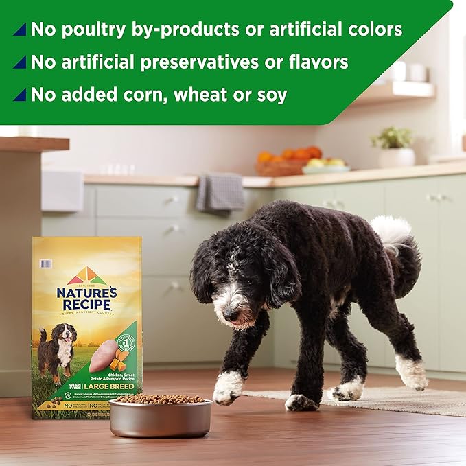 Nature’s Recipe Grain Free Large Breed Chicken, Sweet Potato & Pumpkin Recipe Dry Dog Food, 24 lb. Bag
