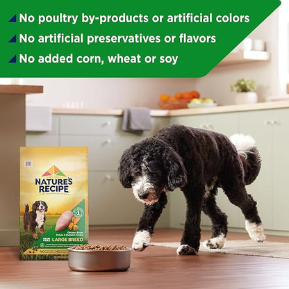 Nature’s Recipe Grain Free Large Breed Chicken, Sweet Potato & Pumpkin Recipe Dry Dog Food, 24 lb. Bag