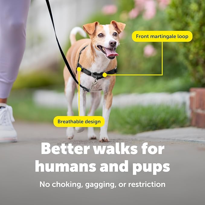 PetSafe Easy Walk Harness, No Pull Dog Harness, Raspberry, Small | Patented Martingale Loop Gives Gradual Shoulder Pressure to Stop Pulling, Front-Chest Leash Clip Prevents Gagging