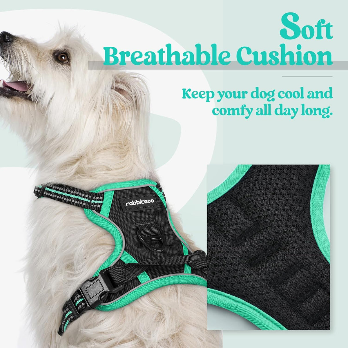 rabbitgoo Dog Harness No Pull with 2 Leash Clips, Adjustable Soft Padded, Reflective Oxford No Choke Pet Vest with Easy Control Handle for Puppy, Black & Turquoise, XS