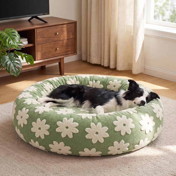 JOEJOY Jacquard Donut Round Small Dog Beds,Green 23x23x8in, Removable Washable Cover, Cute Pattern, Ultra Soft Fluffy Calming Pet Bed with Thick Supportive Bolster