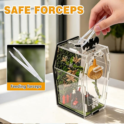 19-in-1 Jumping Spider Enclosure Accessories Kit, Terrarium Decor Set with Furniture, Plants, Hideouts, Moss, Climbing Rope & Net for Tarantula Habitat (No Glue/Enclosure)