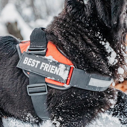Personalized Dog Harness with Custom Name Patches, Adjustable Reflective No Choke Dog Vest with Handle for Small Sized Dog, Red, S
