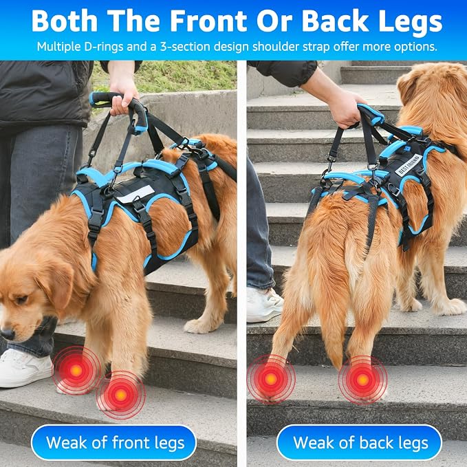 Dog Lift Harness for Medium Male Dogs Friendly, 2 in 1 Detachable Support Harness, Full Body Dog Carrying with 4 Handles for Old/Disabled/Joint Injuries Dogs (Black, Medium)