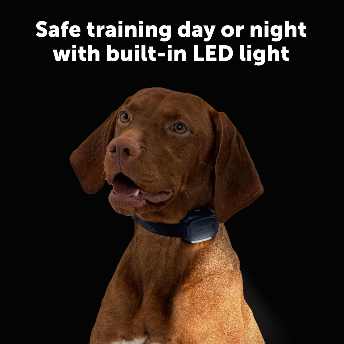 PetSafe Core Dog Trainer with Remote – Waterproof Training Collar – 1000 Foot Range – Tone, Vibration and 15 Levels of Static