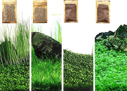 4 in 1 Aquarium Plant S.e.e.ds, no Artificial Plastic Plant, Live Grass for Fish Tank, fit All Substrate (0.36ozTiny+0.36oz Long+0.36oz Short+0.36oz Big Dual) ZQV-003