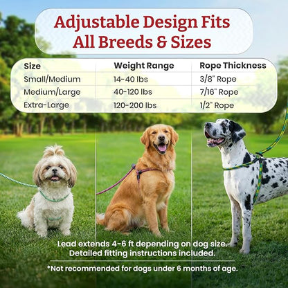 Harness Lead No Pull Dog Harness and Leash Set, Anti Pull Dog Harness, One-Piece Cushioned Rope Safely Prevents Escaping and Pulling (Medium/Large, Rainforest)