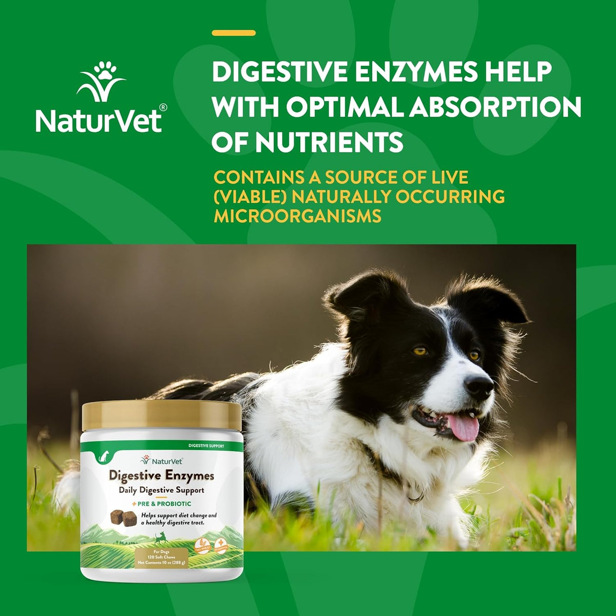 NaturVet – Digestive Enzymes - Plus Probiotics & Prebiotics – Helps Support Diet Change & A Healthy Digestive Tract – for Dogs & Cats (Soft Chews, 120 Count)
