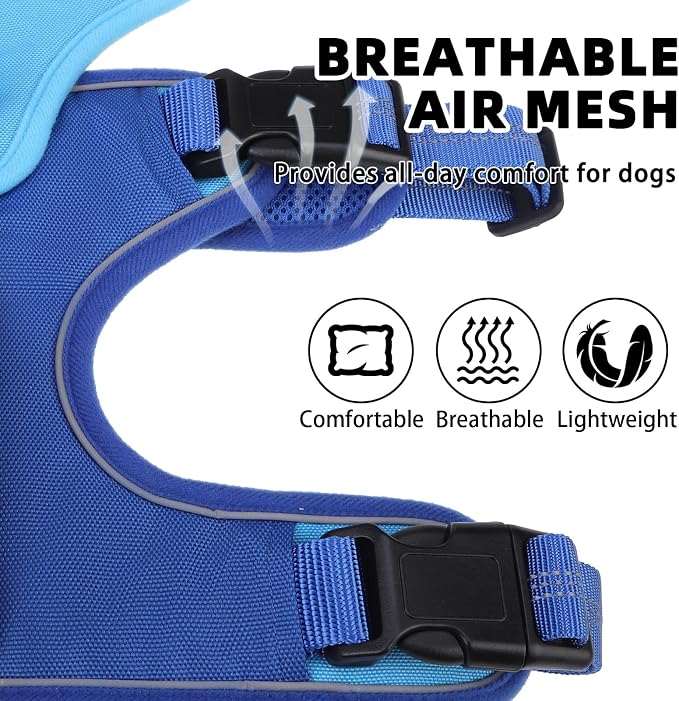 PUPTECK Escape Proof Dog Harness and Leash Set Upgraded No Pull Reflective Dog Vest with Lift Handle, Easy Control Pet Harness for Medium Large Dogs Training Walking Running, Blue, M