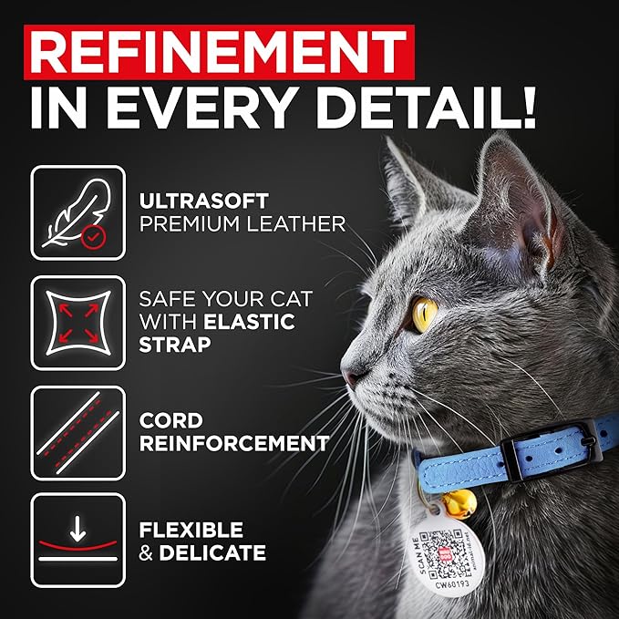Leather Cat Collar with Bell & Elastic Strap - Pet Collar Leather - Kitten Collar - Small & Big Cat Collar for Boy & Girl Cats with Safety Elastic Strap (Blue, 8" - 12")
