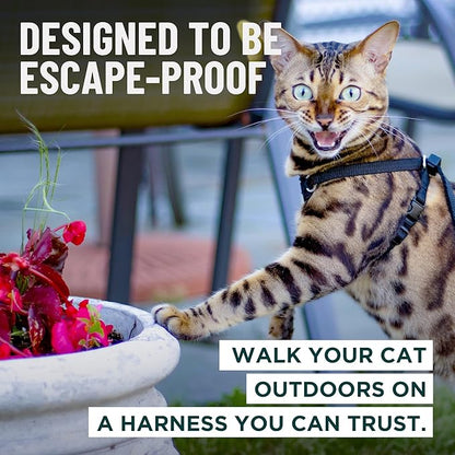 Houdini™ Escape Proof Cat Harness and Leash Set by OutdoorBengal – Orange, Medium Cat Harness for Walking