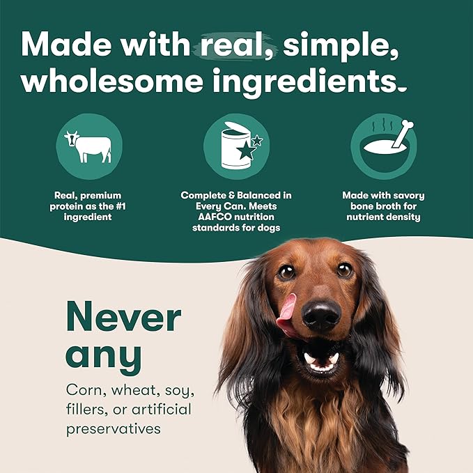 Jinx Premium Wet Dog Food Cans - Chicken & Vegetables Pate - Grain-Free Canned Dog Food Pate & Topper with Real Ingredients & No Fillers - All Life Stages, Breeds & Sizes - 12-Pack, 13 Oz