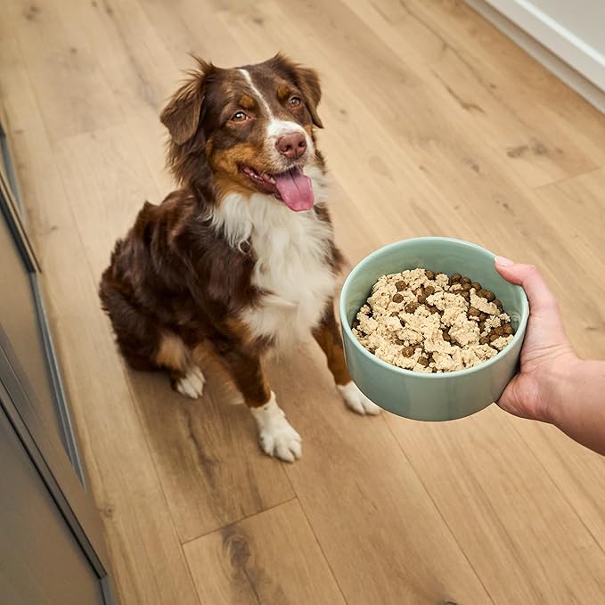 Open Farm, Canned Dog Food Topper, Silky Mousse Made with 96% Responsibly Sourced Icelandic Fish, Grain & Legume Free, Salmon & Cod Recipe, 4.59oz Cans (Pack of 12)