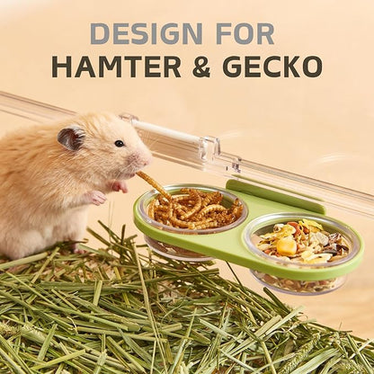 Magnetic Reptile Feeding Ledge with 2 Pack Plastic Bowls Food Feeder Water Dish for Crested Gecko Dwarf Hamster (Green, Magnetic-Mounted)