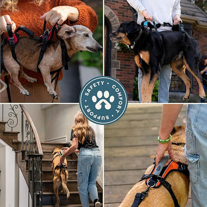 Help 'Em Up® Dog Lift Harness, Full Body Support, XL, U-Band (125-225 lbs)