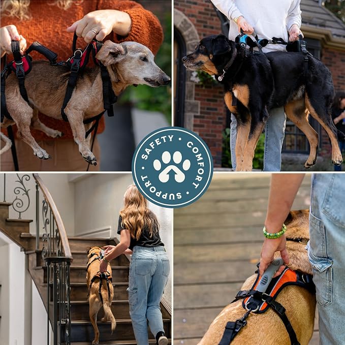 Help 'Em Up® Dog Lift Harness, Full Body Support, Medium U-Band (45-80 lbs)