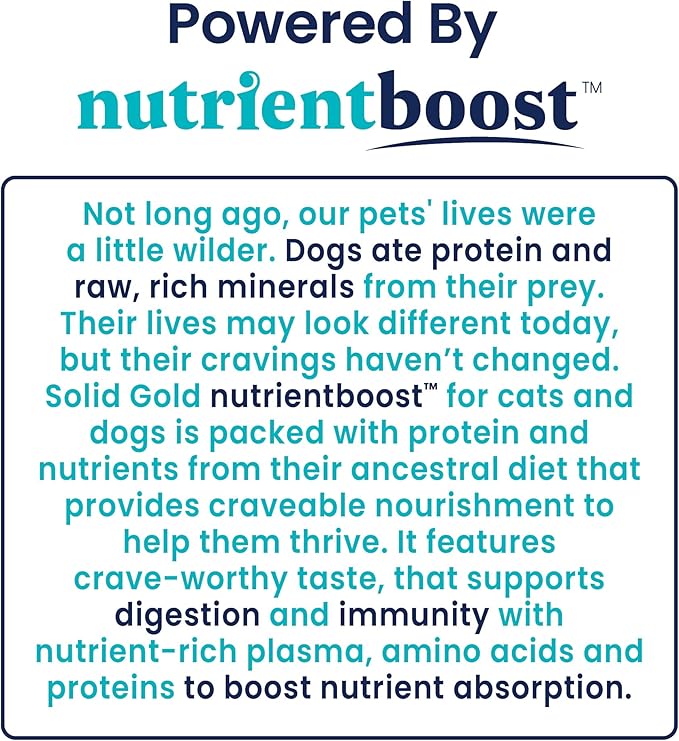 Solid Gold Canned Dog Food for Adult & Senior Dogs - Nutrientboost Hund-N-Flocken Made with Real Chicken and Healthy Whole Grains - High Calorie, High Protein Wet Dog Food - 6ct/12.5oz Cans