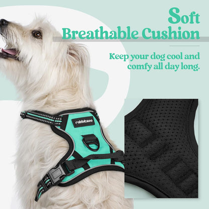 rabbitgoo Dog Harness No Pull with 2 Leash Clips, Adjustable Soft Padded, Reflective Oxford No Choke Pet Vest with Easy Control Handle for Puppy, Turquoise, XS