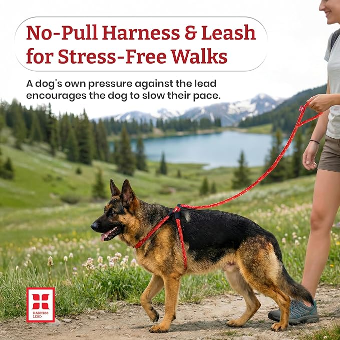 Harness Lead No Pull Dog Harness and Leash Set, Anti Pull Dog Harness, One-Piece Cushioned Rope Safely Prevents Escaping and Pulling (Small/Medium, Red/Reflective)
