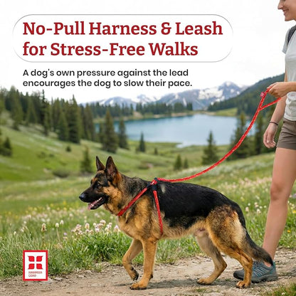 Harness Lead No Pull Dog Harness and Leash Set, Anti Pull Dog Harness, One-Piece Cushioned Rope Safely Prevents Escaping and Pulling (Medium/Large, Rainforest)