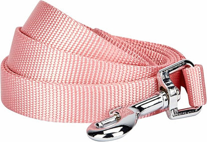 Blueberry Pet Essentials Baby Pink Dog Leash for X-Small -5' * 3/8" Dogs | Heavy Duty Nylon Lead | Lightweight Puppy & Cat Leash for Walking & Training