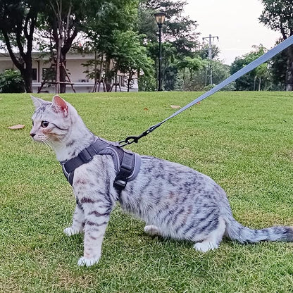 Cat Harness and Leash Set Escape Proof Tactical Extra Large Kitten Harness Emotional Support Cat Vest, Grey, XXL