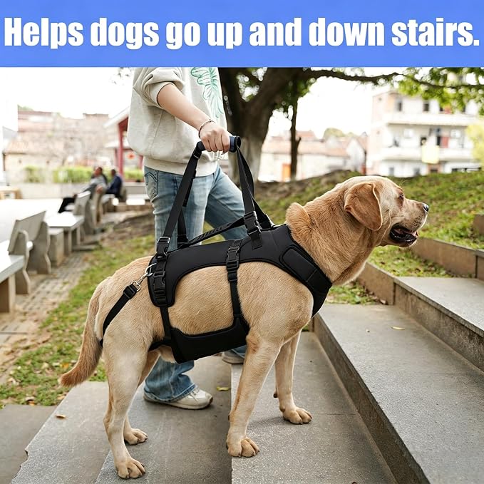COODEO Dog Lift Harness for Large Dogs, Full Body Support Mobility Aid for Senior Dogs, Adjustable Help for Weak Hind Legs, Arthritis, Stairs & Cars(Black,XL)