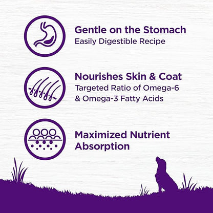 Wellness Complete Health Sensitive Skin & Stomach Dry Dog Food, Wholesome Grains, Natural, Salmon & Rice Recipe, (5-Pound Bag)
