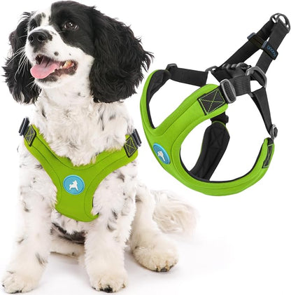 Gooby Escape Free Sport Dog Harness, Choke-Free, Lime, Small | Patented escape-free frame; Reduces choking; 4-point adjustment; Soft neoprene padding; Durable webbed straps