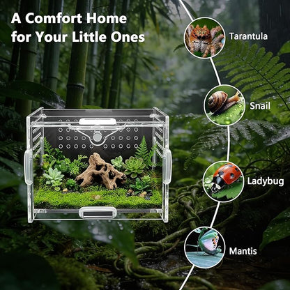 Acrylic Jumping Spider Enclosure - Multi-Purpose Reptile & Insect Habitat Cage with Ventilation for Jumping Spiders,Arboreal Tarantula, Scorpion, Lizard, Snake, Gecko, Snail & Isopod(3.9x3.1x2.7'')