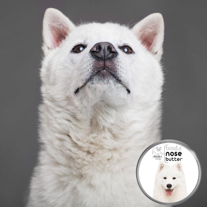 The Blissful Dog Samoyed Nose Butter for Dry, Cracked Skin, Lick-Safe Dog Nose Balm with Moisturizing Shea Butter, Almond, Olive, and Essential Oils, Pet Supplies, Uncented, 8 oz.