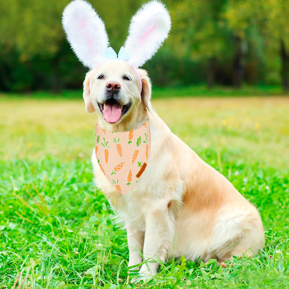 ADOGGYGO Easter Dog Bandanas, Rabbit Carrot Pet Scarf, Multi Size Offered, Orange Blue Easter Bandana for Extra Large Dogs Pets (X-Large)