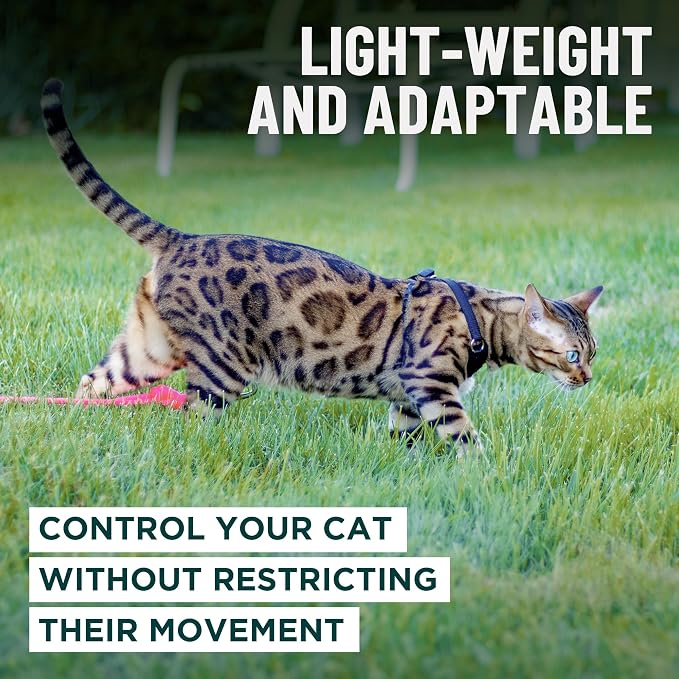 Houdini™ Escape Proof Cat Harness and Leash (Pink, XL) | Adjustable walking vest with 6ft lead, breathable mesh, secure snug fit, lightweight for travel, hikes and daily adventures