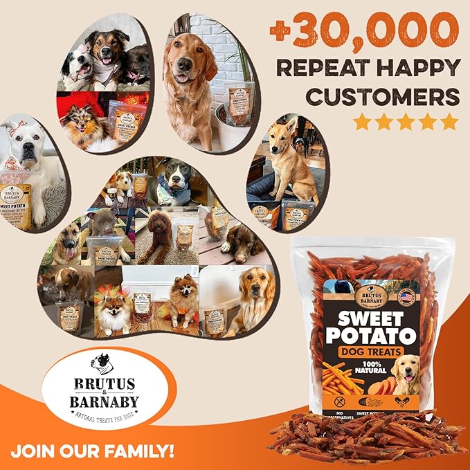 BRUTUS & BARNABY Sweet Potato Dog Treats- No Additive Dehydrated Sweet Potato Fries, Grain Free, Gluten Free and No Preservatives Added (14 oz)