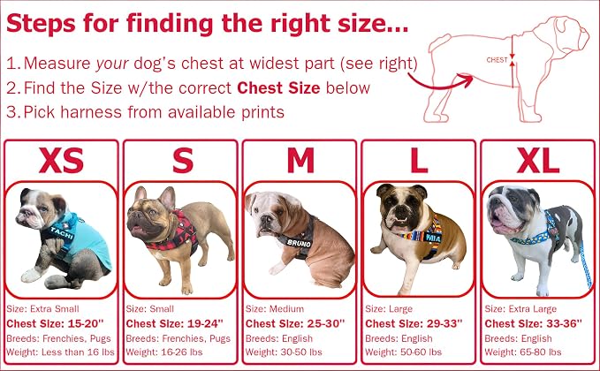 Adjustable Dog Harness– No Pull, No Choke – for English Bulldogs, French Bulldogs, Pugs & Broad-Chested Breeds – Easy, Safe Walks (Teal, Medium)
