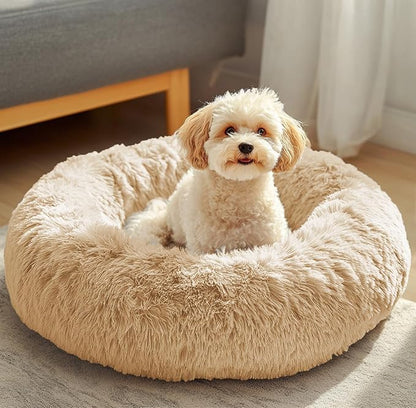 JOLLYVOGUE Dog & Cat Bed, Calming Anti-Anxiety Pet Bed for Small Dogs, Fluffy Donut Cushion for Small and Medium Pets (23")