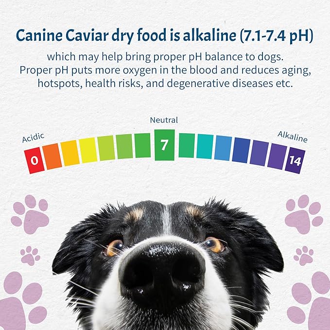 Canine Caviar - Leaping Spirit: Venison & Pearl Millet Alkaline Dry Dog Food, Limited Ingredients, Gluten-Free, Based on Science & Research, Veterinary Alternative Diet (11 Pound Bag)