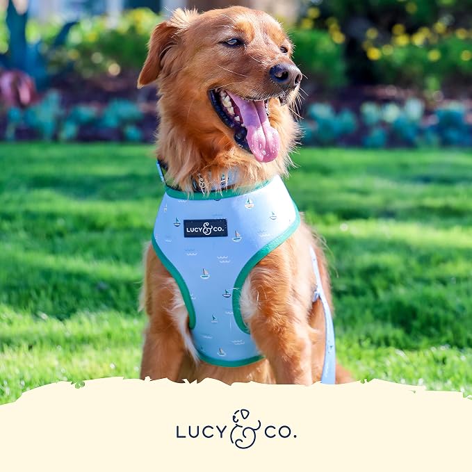 Lucy & Co. Reversible Dog Harness - Water-Repellent Neoprene, Dual-Print Design, Easy Swap Style, Adjustable Comfort Fit - Set Sail Reversible Harness - Medium