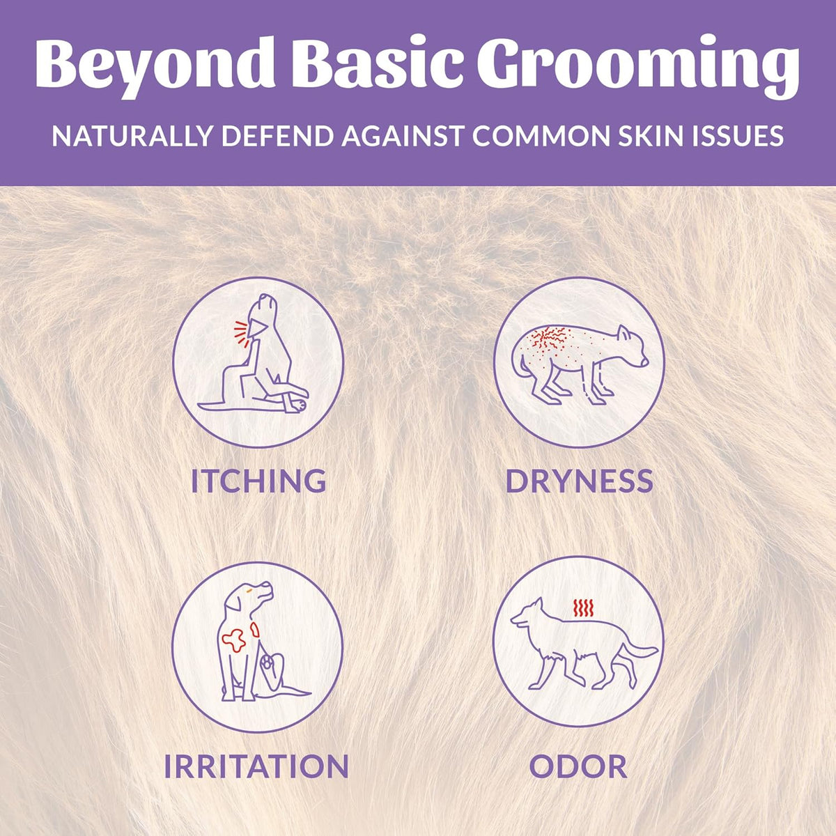 SKOUT'S HONOR Probiotic Pet Deodorizer Spray- Hydrating Daily-Use with Avocado Oil & Omega-3s, Microbiome Friendly Certiified, Paraben & Sulfate-Free, 97% Natural, 8oz, Lavender