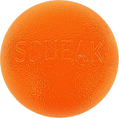Outward Hound by Planet Dog Squeak Ball Bouncy Fetch Dog Toy, Orange