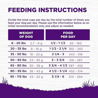 Wellness Complete Health Sensitive Skin & Stomach Dry Dog Food, Wholesome Grains, Natural, Salmon & Rice Recipe, (24-Pound Bag)