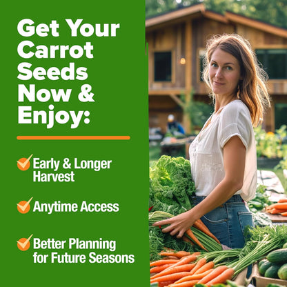 HOME GROWN 𝗨𝗦𝗔 𝗣𝗥𝗘𝗠𝗜𝗨𝗠 Rainbow Carrot Seeds – 2500+ Heirloom Seeds (10 Varieties) – High Germination, 𝗡𝗢𝗡-𝗚𝗠𝗢 Vegetable Seeds for Planting Indoors or Outdoor Home Garden