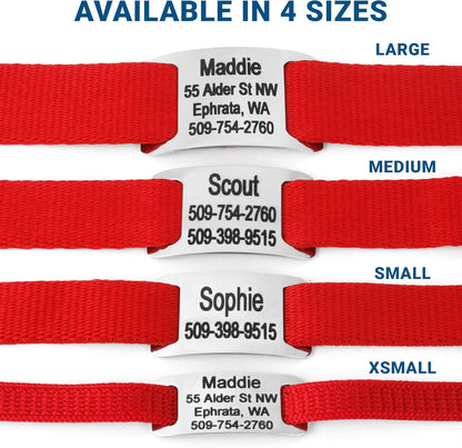 GoTags Personalized Dog Collar with Nameplate, Adjustable Dog Collar with Custom Engraved Slide On Pet ID Tag in Stainless Steel, Silent, No Noise Dog Tag for Large Medium and Small (Red, Large)