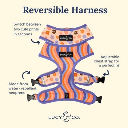 Lucy & Co. Reversible Dog Harness - Water-Repellent Neoprene, Dual-Print Design, Easy Swap Style, Adjustable Comfort Fit - Let's Groove Reversible Harness - X-Large