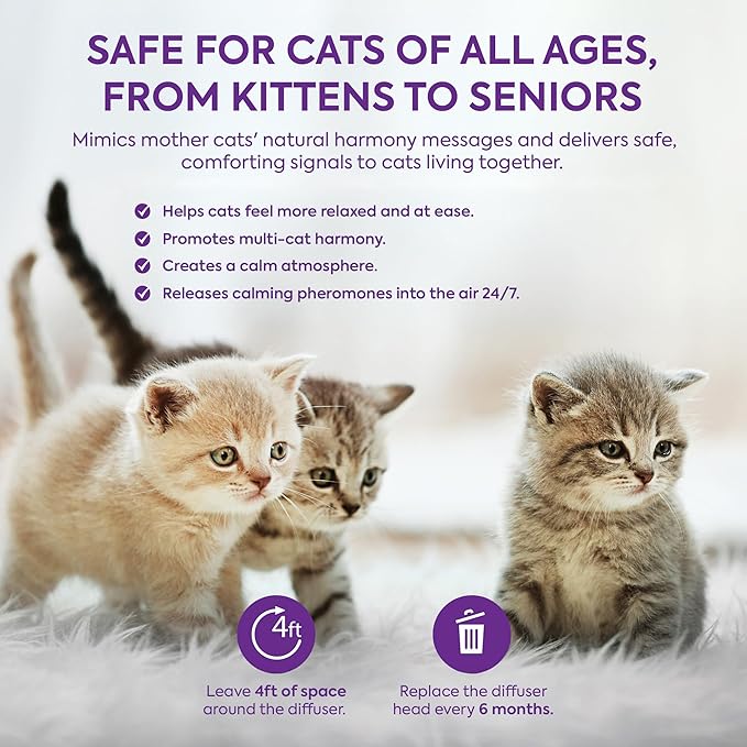 Cat Pheromones Calming Diffuser: Premium Pheromone Diffuser for Cats - Cat Pheromones Diffuser - Cat Calming Diffuser - Cat Calming Pheromone Diffuser, 3 Pack (Purple)