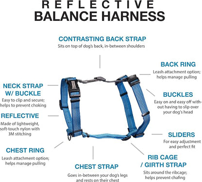 Blue-9 Reflective Buckle-Neck Balance Harness, Fully Customizable Fit No-Pull Harness with 3M Reflective Stitching, Ideal for Dog Training and Obedience, Made in The USA, Blue, Small
