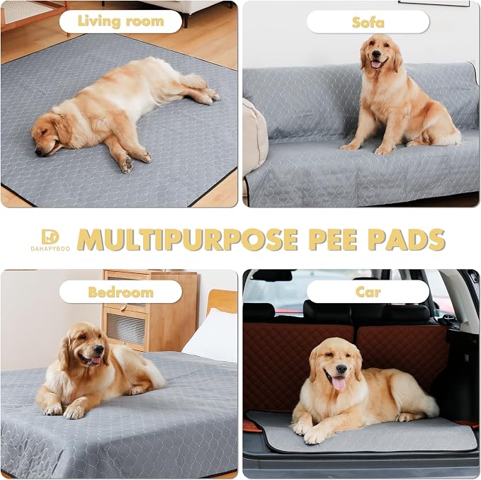 DAHAPYBOO Extra Large Washable Pee Pads for Dogs 65x48,2Pack | Reusable Puppy Pads for Dogs Non-Slip Waterproof Pet Training Pads for Crate, Playpen, Bed, Sofa,Whelping Box, Potty Training