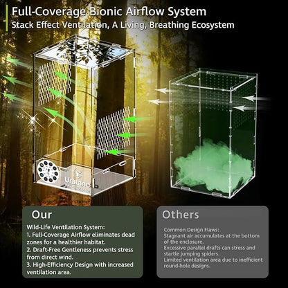 Jumping Spider Enclosure, Front-Opening Acrylic Spider Terrarium with Magnetic Door,Laser-Cut Biomimetic Ventilation System, Escape-Proof for Feeder Insects (6.5"x6.5"x12")