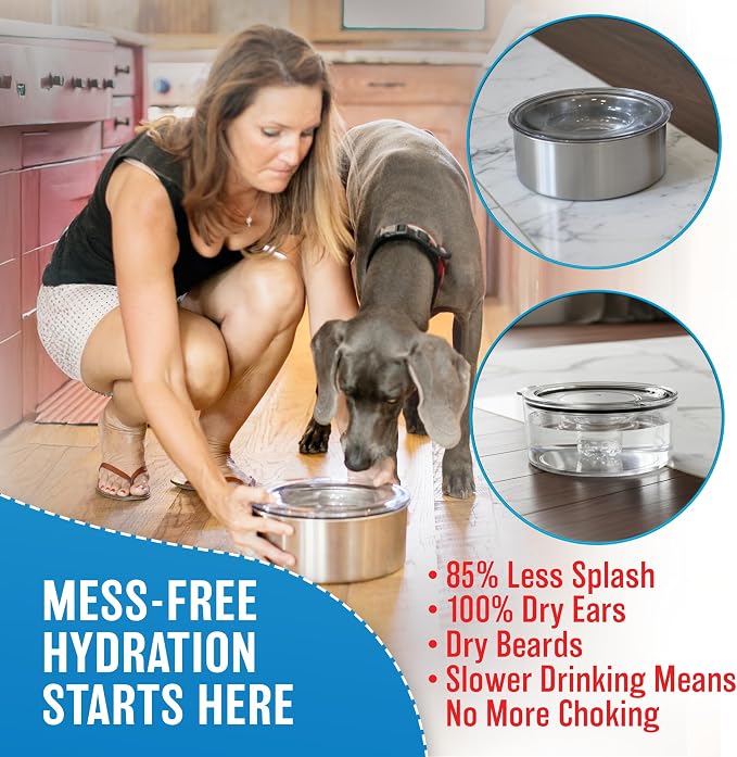 Stainless Steel Dripless Water Bowl with Tritan Plastic Lid, Holds 1 Gal, Reduces Spills & Trails Up to 85%+, Water Bowl for Medium Breed Dogs (21-50 lbs), The Original Slobber Stopper